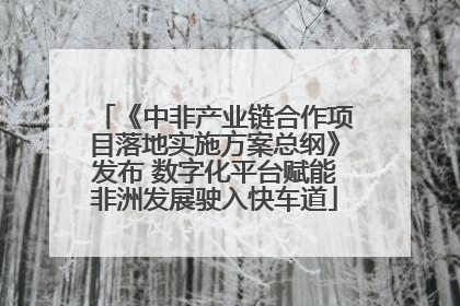《中非产业链合作项目落地实施方案总纲》发布 数字化平台赋能非洲发展驶入快车道