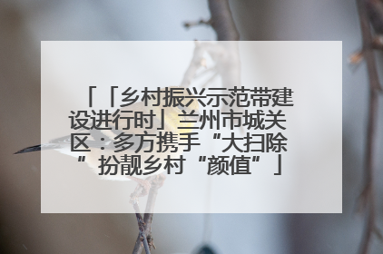 「乡村振兴示范带建设进行时」兰州市城关区：多方携手“大扫除”扮靓乡村“颜值”