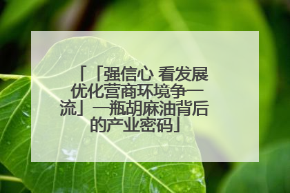 「强信心 看发展 优化营商环境争一流」一瓶胡麻油背后的产业密码
