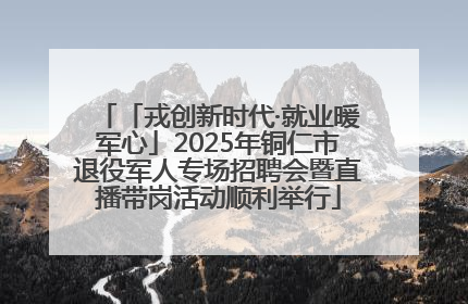 「戎创新时代·就业暖军心」2025年铜仁市退役军人专场招聘会暨直播带岗活动顺利举行