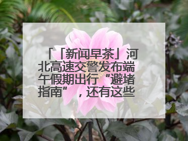 「新闻早茶」河北高速交警发布端午假期出行“避堵指南”，还有这些热点……