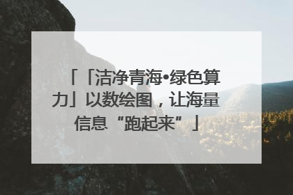 「洁净青海•绿色算力」以数绘图，让海量信息“跑起来”