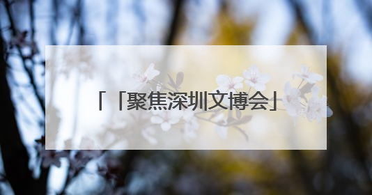 「聚焦深圳文博会」两地“牵手”结硕果 昭通皇菊香飘鹏城