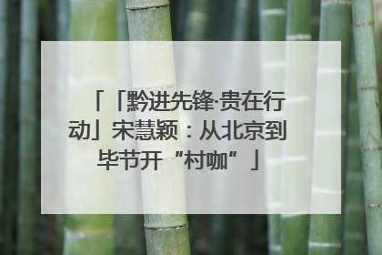 「黔进先锋·贵在行动」宋慧颖：从北京到毕节开“村咖”