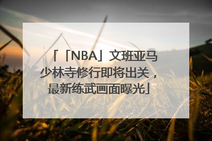 「NBA」文班亚马少林寺修行即将出关，最新练武画面曝光