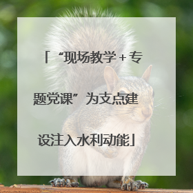 “现场教学＋专题党课”为支点建设注入水利动能