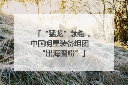 “猛龙”领衔，中国明星装备组团“出海圈粉”