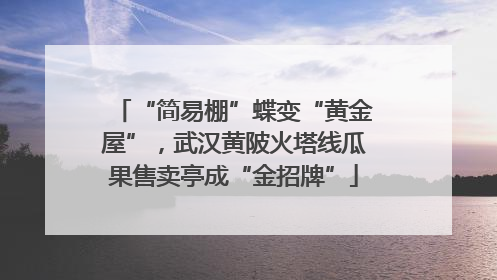 “简易棚”蝶变“黄金屋”，武汉黄陂火塔线瓜果售卖亭成“金招牌”