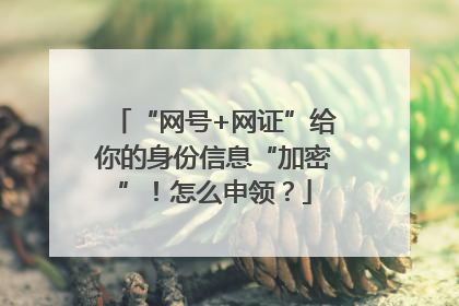 “网号+网证”给你的身份信息“加密”！怎么申领？