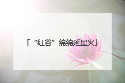 “红谷”绵绵延星火