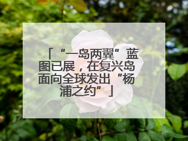 “一岛两翼”蓝图已展，在复兴岛面向全球发出“杨浦之约”
