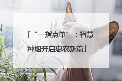 “一指点单”：智慧种烟开启惠农新篇