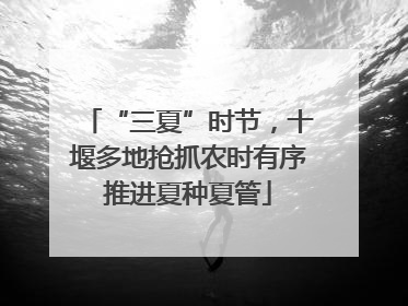 “三夏”时节，十堰多地抢抓农时有序推进夏种夏管
