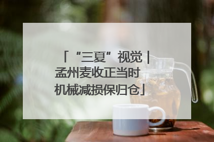 “三夏”视觉｜孟州麦收正当时 机械减损保归仓