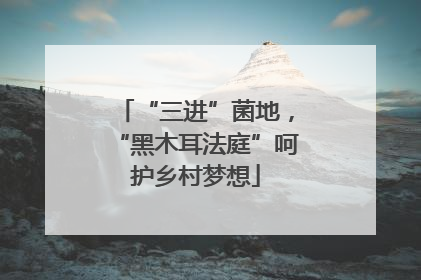“三进”菌地，“黑木耳法庭”呵护乡村梦想