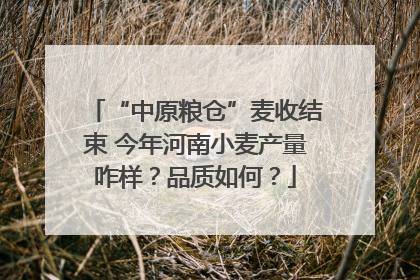 “中原粮仓”麦收结束 今年河南小麦产量咋样？品质如何？