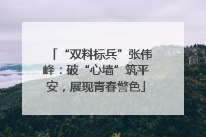 “双料标兵”张伟峰：破“心墙”筑平安，展现青春警色