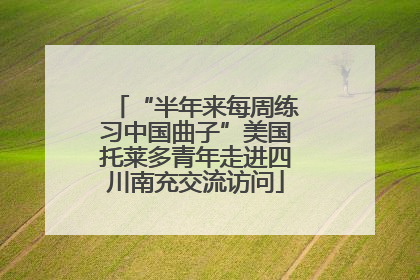 “半年来每周练习中国曲子”美国托莱多青年走进四川南充交流访问