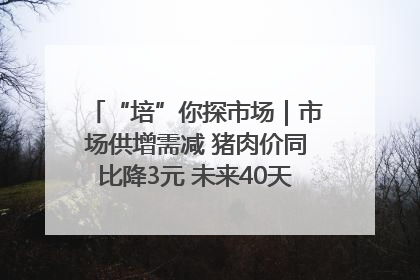 “培”你探市场｜市场供增需减 猪肉价同比降3元 未来40天便宜猪肉敞开吃