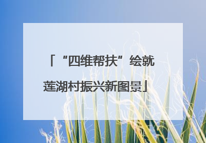 “四维帮扶”绘就莲湖村振兴新图景
