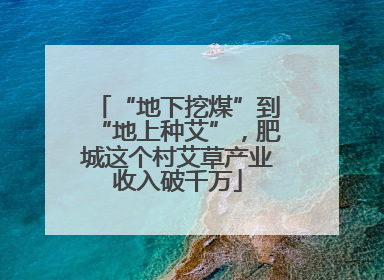 “地下挖煤”到“地上种艾”，肥城这个村艾草产业收入破千万