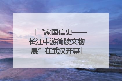 “家国信史——长江中游简牍文物展”在武汉开幕