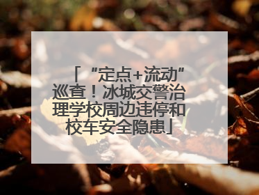 “定点+流动”巡查！冰城交警治理学校周边违停和校车安全隐患