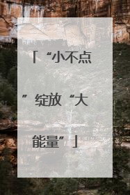 “小不点”绽放“大能量”