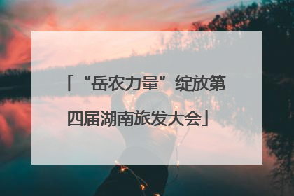 “岳农力量”绽放第四届湖南旅发大会