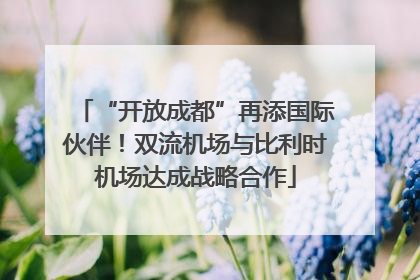 “开放成都”再添国际伙伴！双流机场与比利时机场达成战略合作
