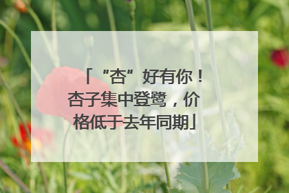 “杏”好有你！杏子集中登鹭，价格低于去年同期