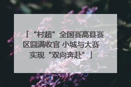 “村超”全国赛高县赛区圆满收官 小城与大赛实现“双向奔赴”