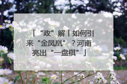 “政”解丨如何引来“金凤凰”？河南亮出“一盘棋”