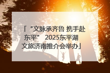 “文脉承齐鲁 携手赴东平” 2025东平湖文旅济南推介会举办