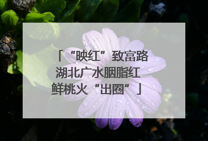 “映红”致富路 湖北广水胭脂红鲜桃火“出圈”