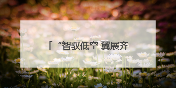“智驭低空 翼展齐鲁” 山东移动助推低空经济蓄势腾飞
