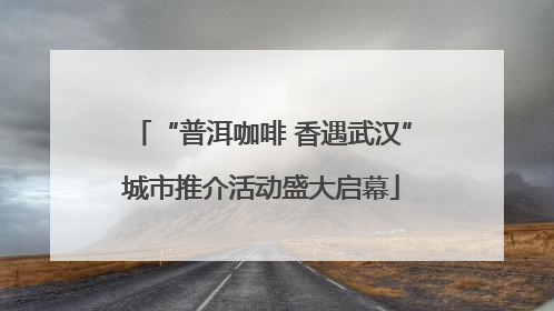 “普洱咖啡 香遇武汉”城市推介活动盛大启幕