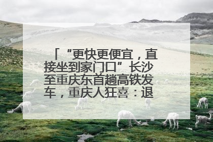 “更快更便宜，直接坐到家门口”长沙至重庆东首趟高铁发车，重庆人狂喜：退了票也要坐