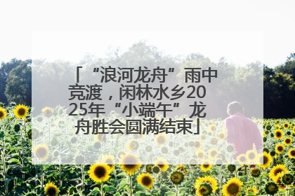 “浪河龙舟”雨中竞渡，闲林水乡2025年“小端午”龙舟胜会圆满结束