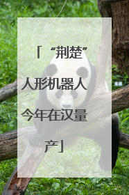 “荆楚”人形机器人今年在汉量产