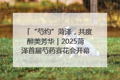 “芍约”菏泽，共度醉美芳华｜2025菏泽首届芍药赛花会开幕，103家企业参赛