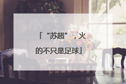 “苏超”，火的不只是足球