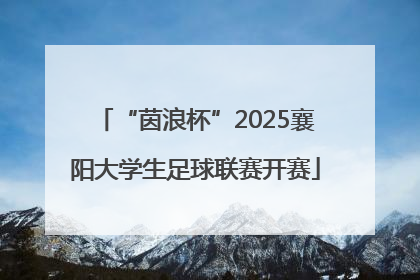 “茵浪杯”2025襄阳大学生足球联赛开赛
