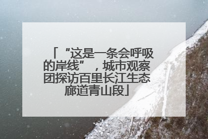 “这是一条会呼吸的岸线”，城市观察团探访百里长江生态廊道青山段