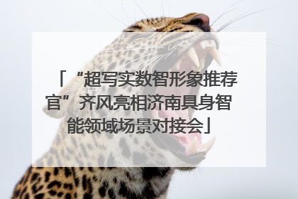 “超写实数智形象推荐官”齐风亮相济南具身智能领域场景对接会