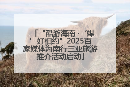 “酷游海南 ·‘媒’好相约”2025百家媒体海南行三亚旅游推介活动启动