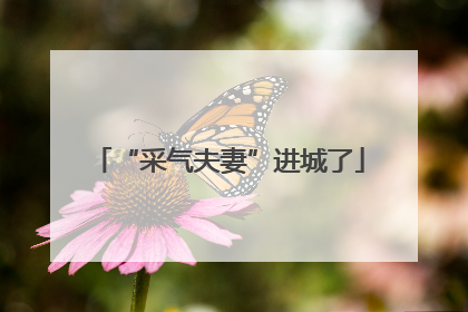 “采气夫妻”进城了