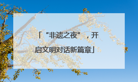 “非遗之夜”，开启文明对话新篇章