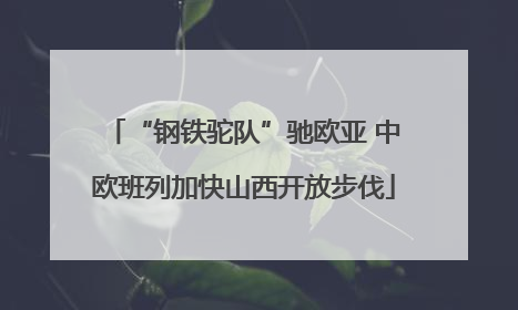 “钢铁驼队”驰欧亚 中欧班列加快山西开放步伐