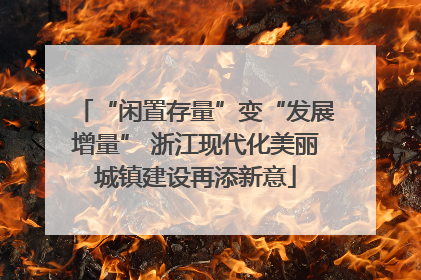 “闲置存量”变“发展增量” 浙江现代化美丽城镇建设再添新意